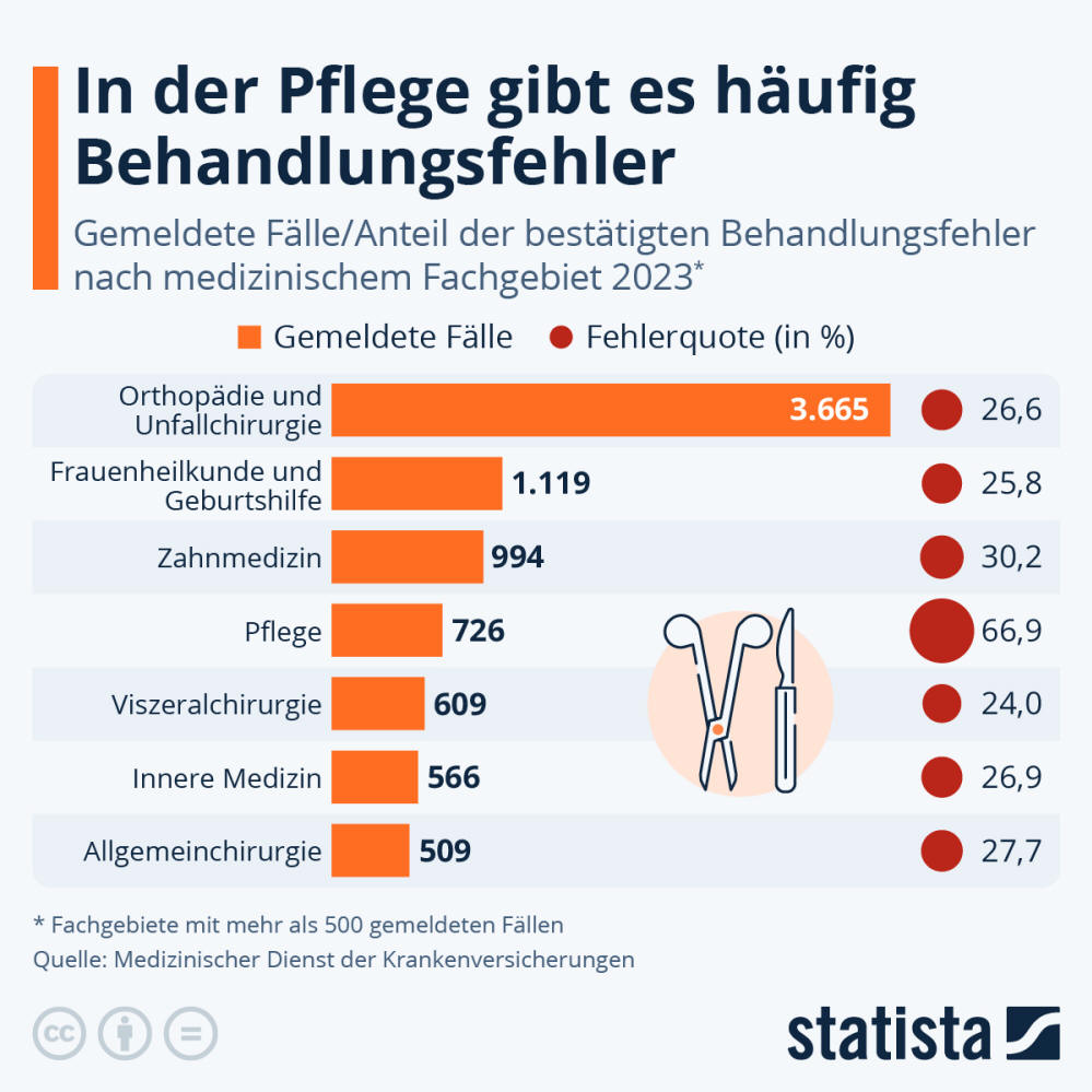 Infografik: In der Pflege gibt es häufig Behandlungsfehler | Statista