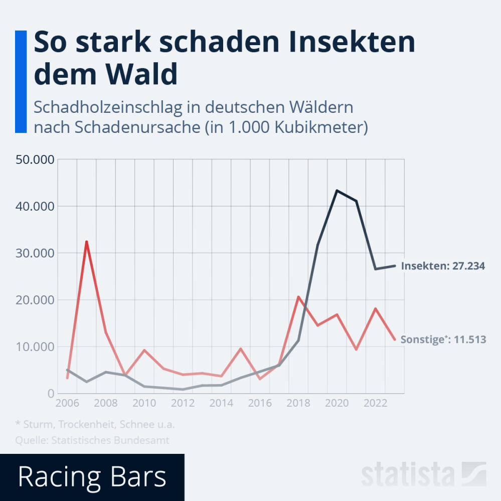 Infografik: Was schadet dem Wald am meisten? | Statista